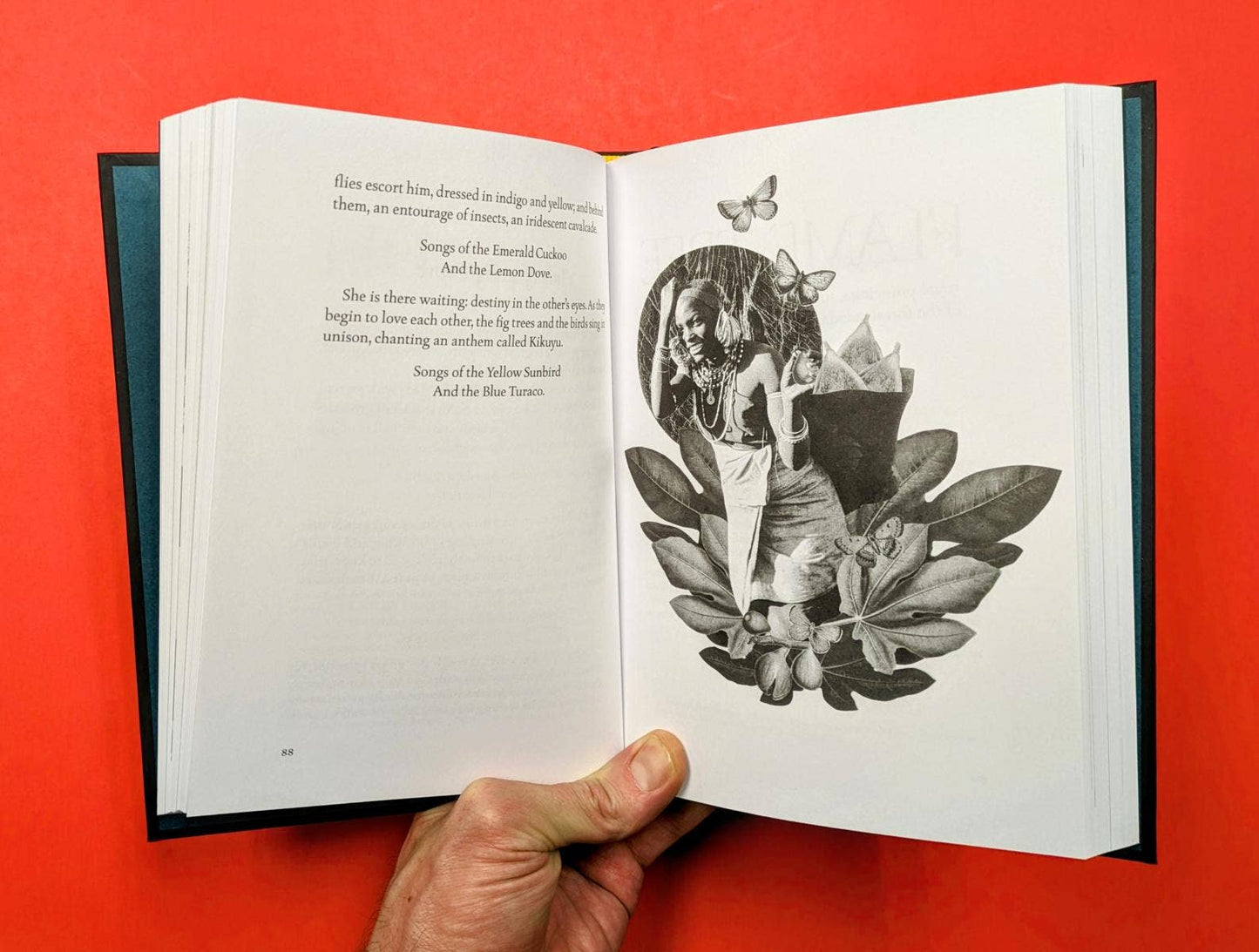 The Encyclopedia Of Rootical Folklore by Natty Mark Samuels