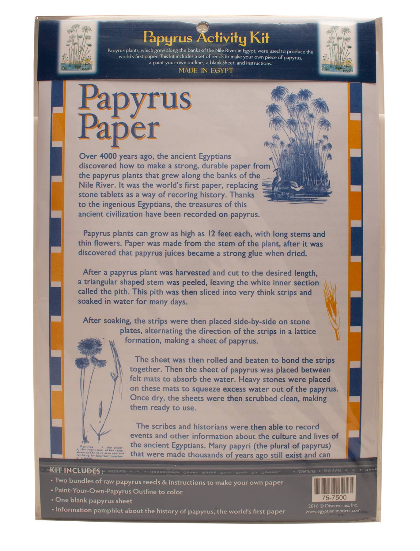 Egyptian Papyrus Activity Kit (8" x 10")