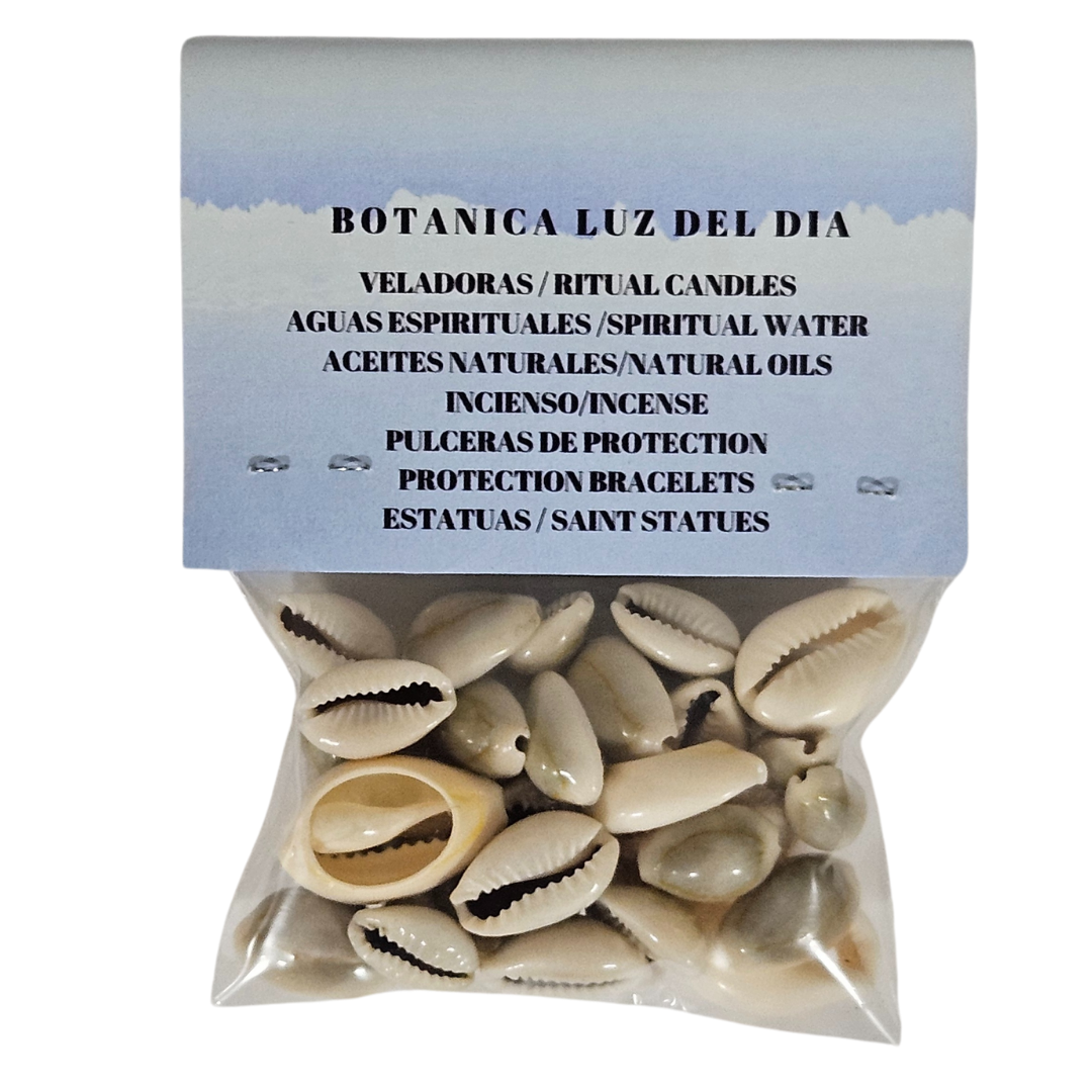 Cowrie Shells