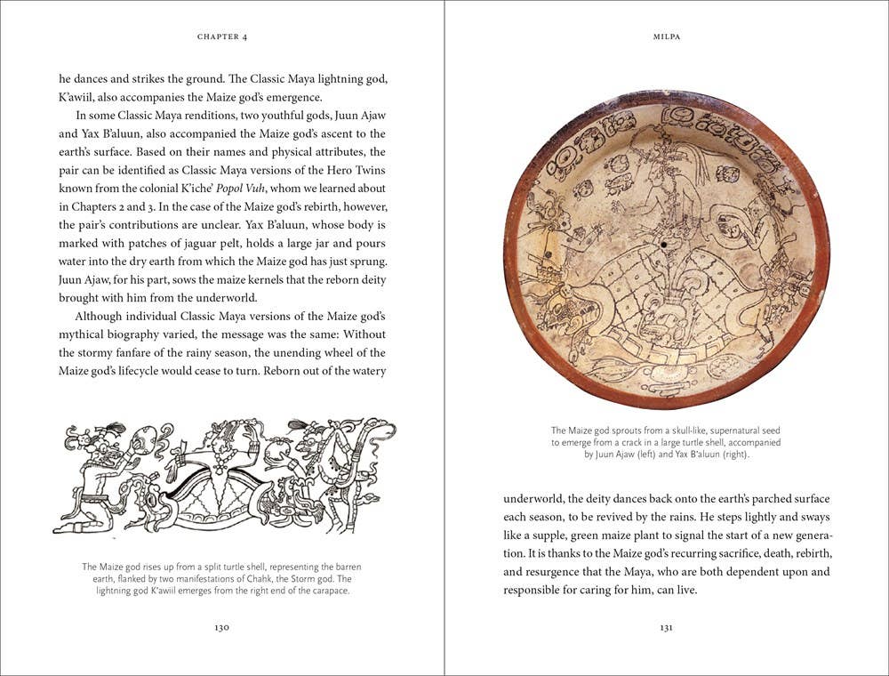 The Maya Myths: A Guide To The Gods, Heroes and Ancestors by Mallory Matsumoto