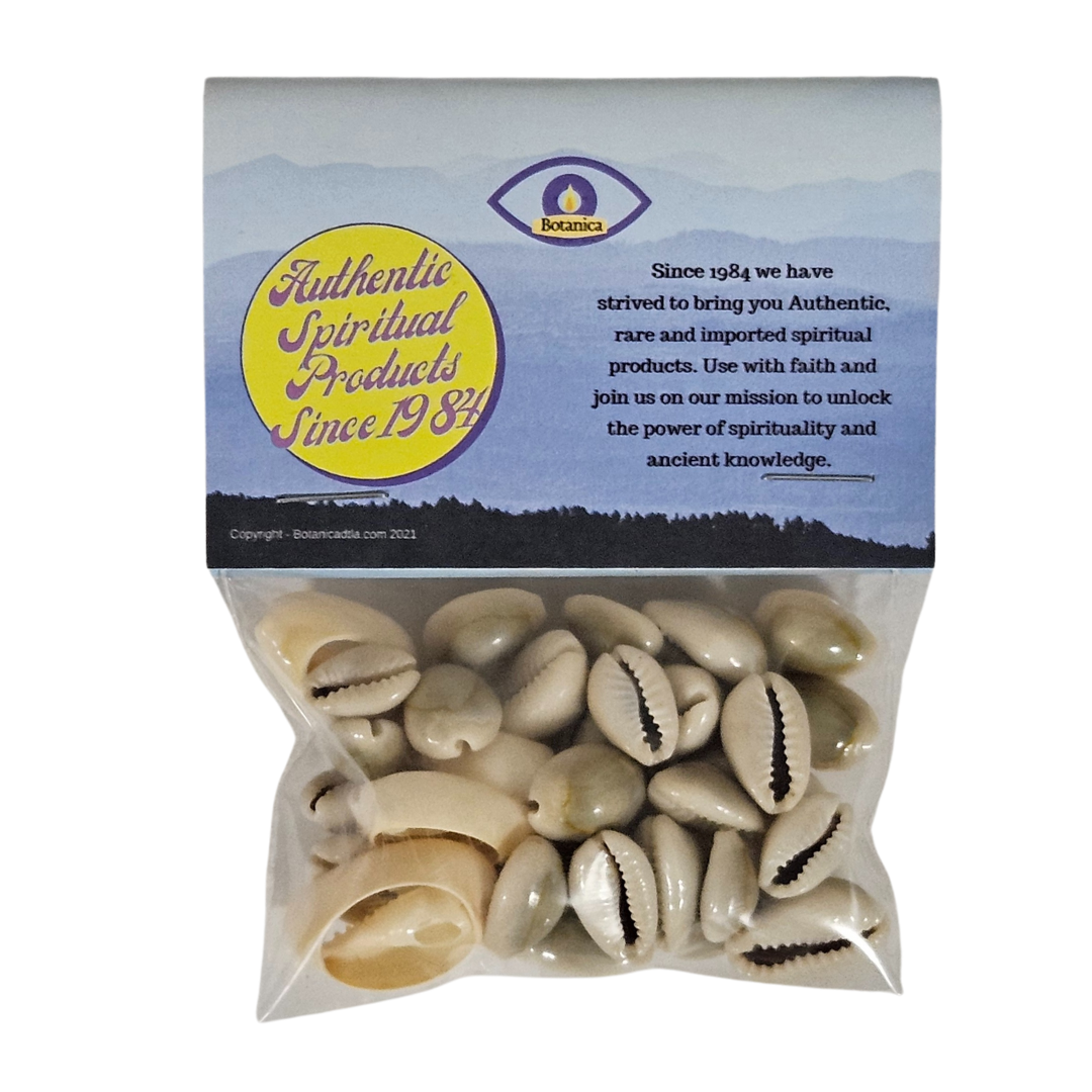 Cowrie Shells