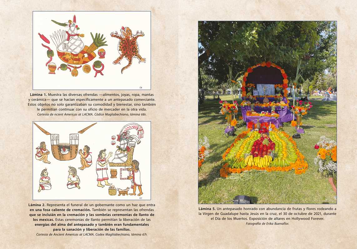 Ritos De Veneración Del Curanderismo By Erika Buenaflor (Paperback)