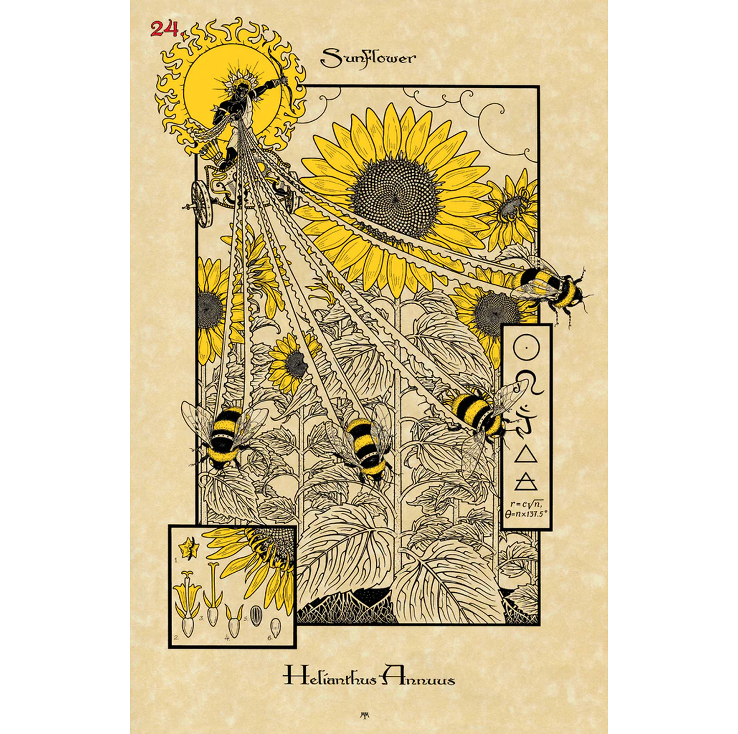 The Magickal Botanical Oracle Deck