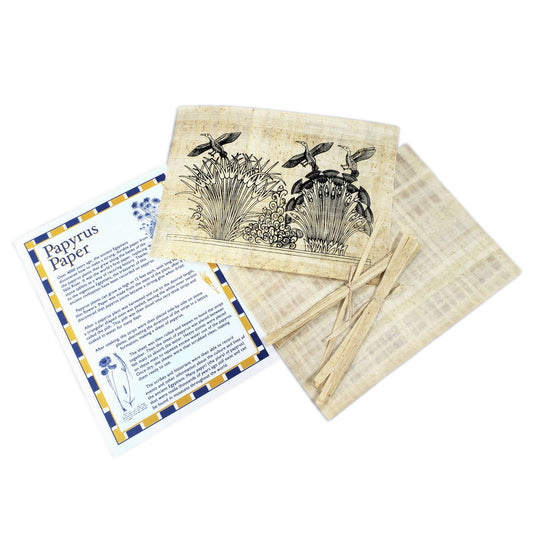 Egyptian Papyrus Activity Kit (8" x 10")