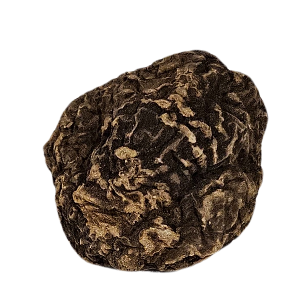 John The Conqueror Root