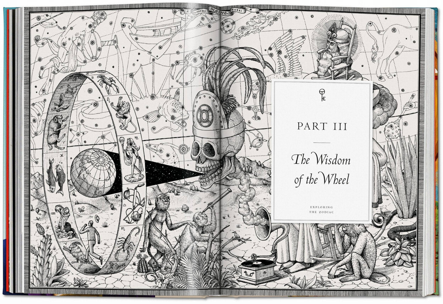 Astrology: The Library Of Esoterica by Andrea Richards