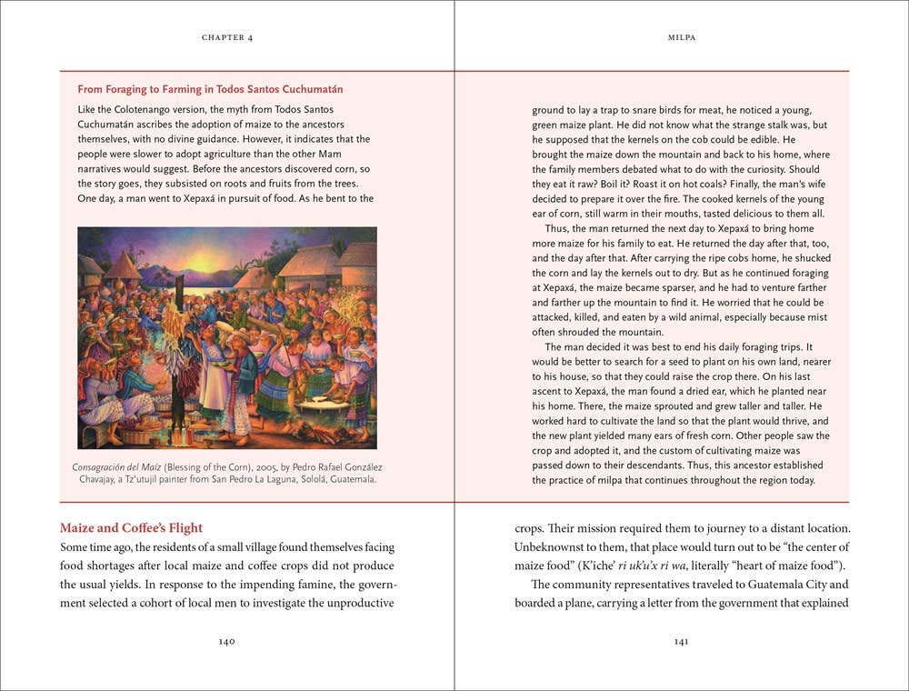 The Maya Myths: A Guide To The Gods, Heroes and Ancestors by Mallory Matsumoto