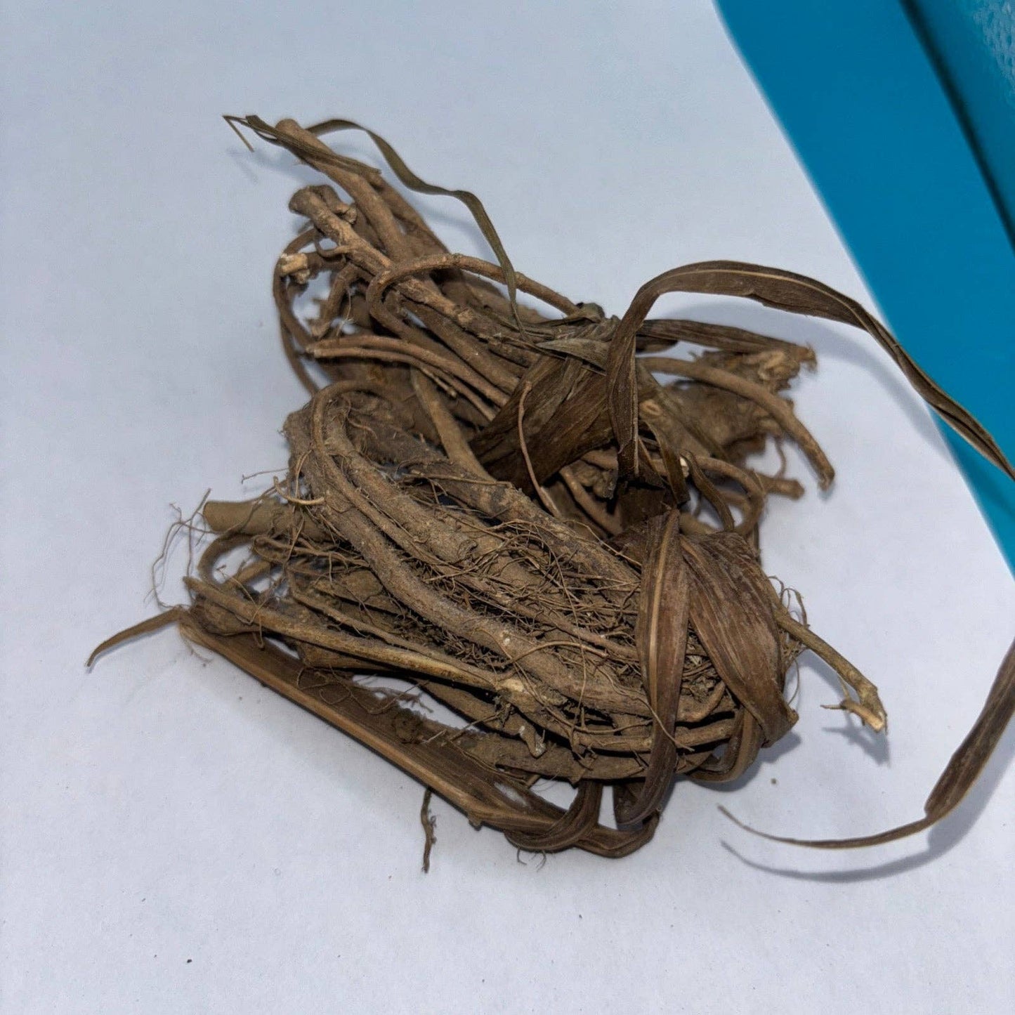 Loose Bondage Root / Egbo Tude (3oz)