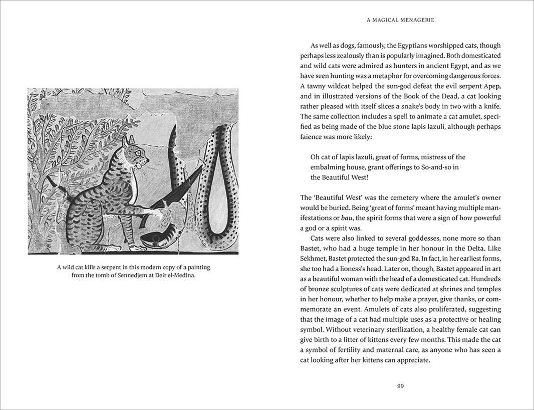 Ancient Egyptian Magic: A Hands-On Guide by Christina Riggs