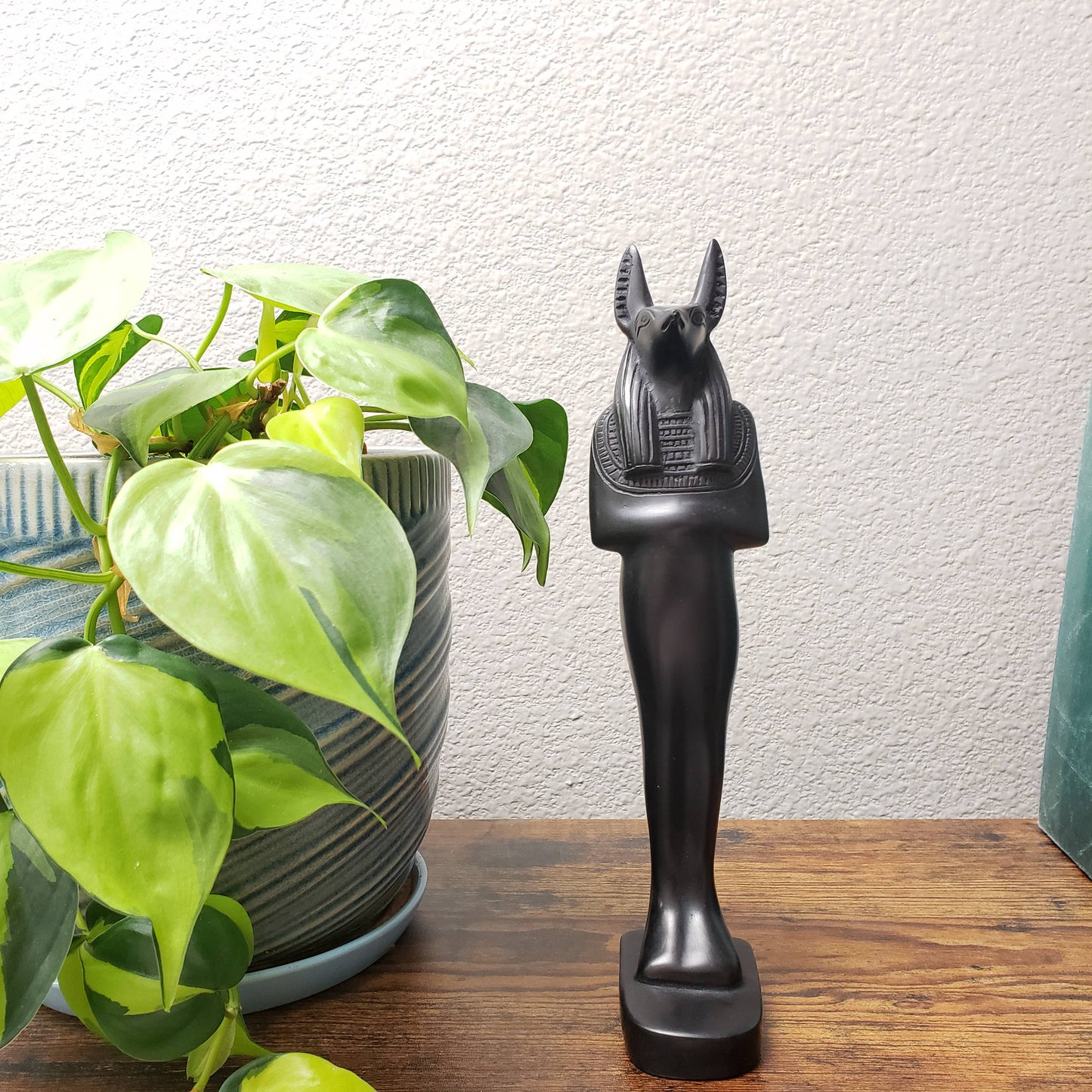 Egyptian Anubis Mummy Statue (11")