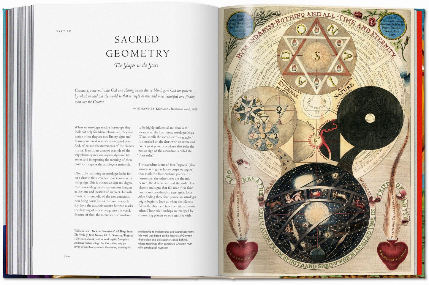 Astrology: The Library Of Esoterica by Andrea Richards