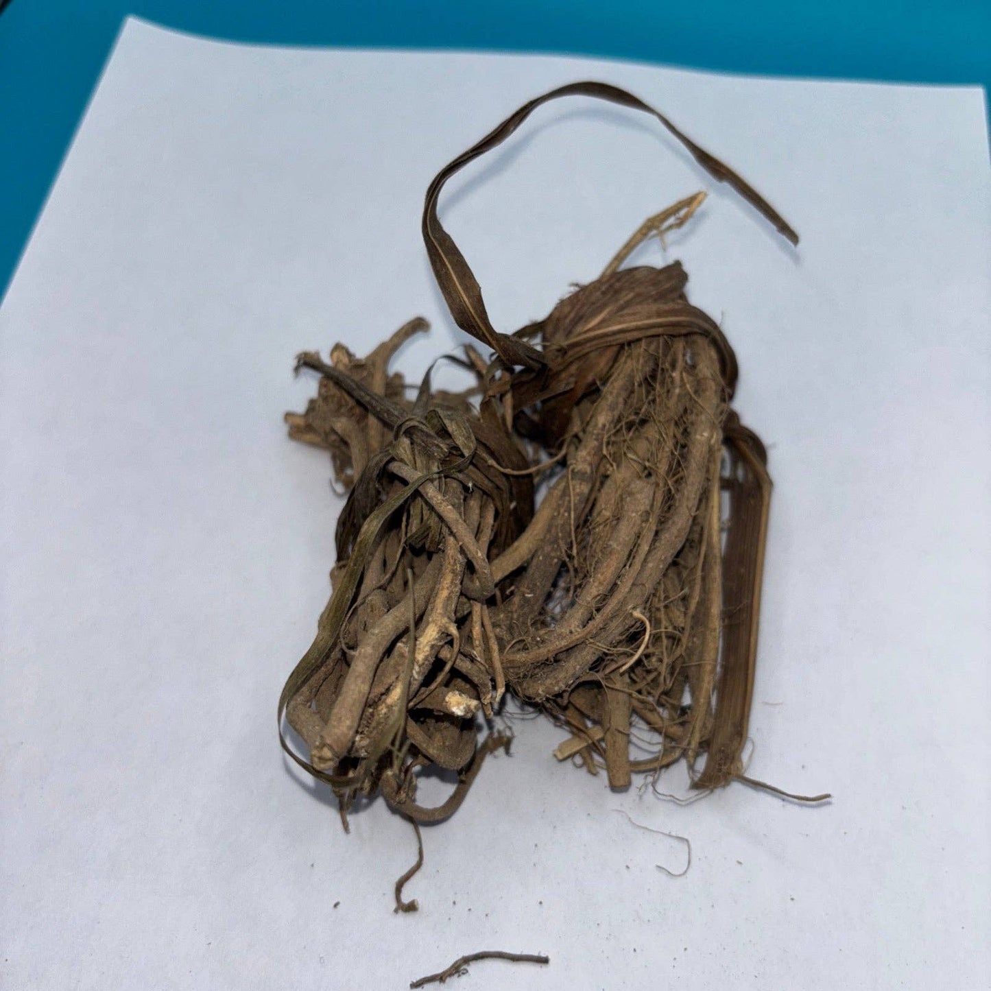 Loose Bondage Root / Egbo Tude (3oz)
