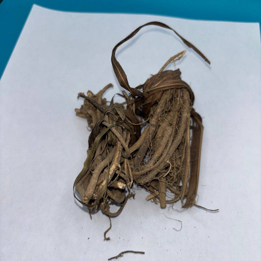 Loose Bondage Root / Egbo Tude (3oz)