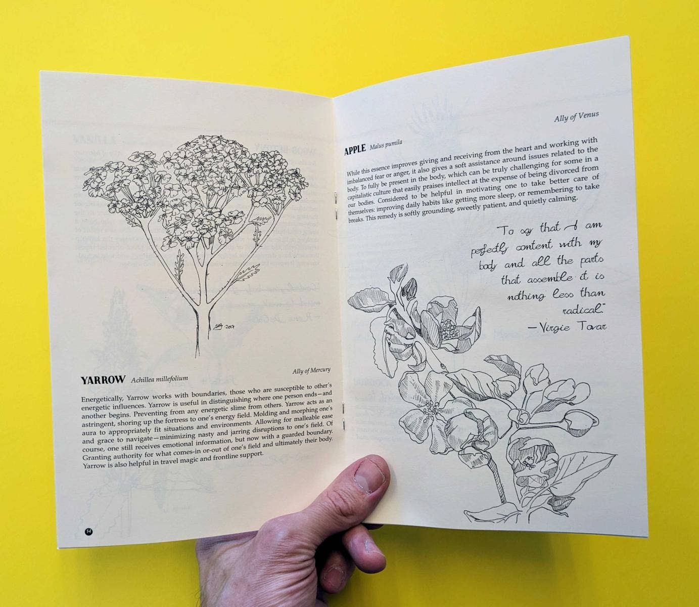 Plants Against The Patriarchy by JP Hawthorne (Zine)