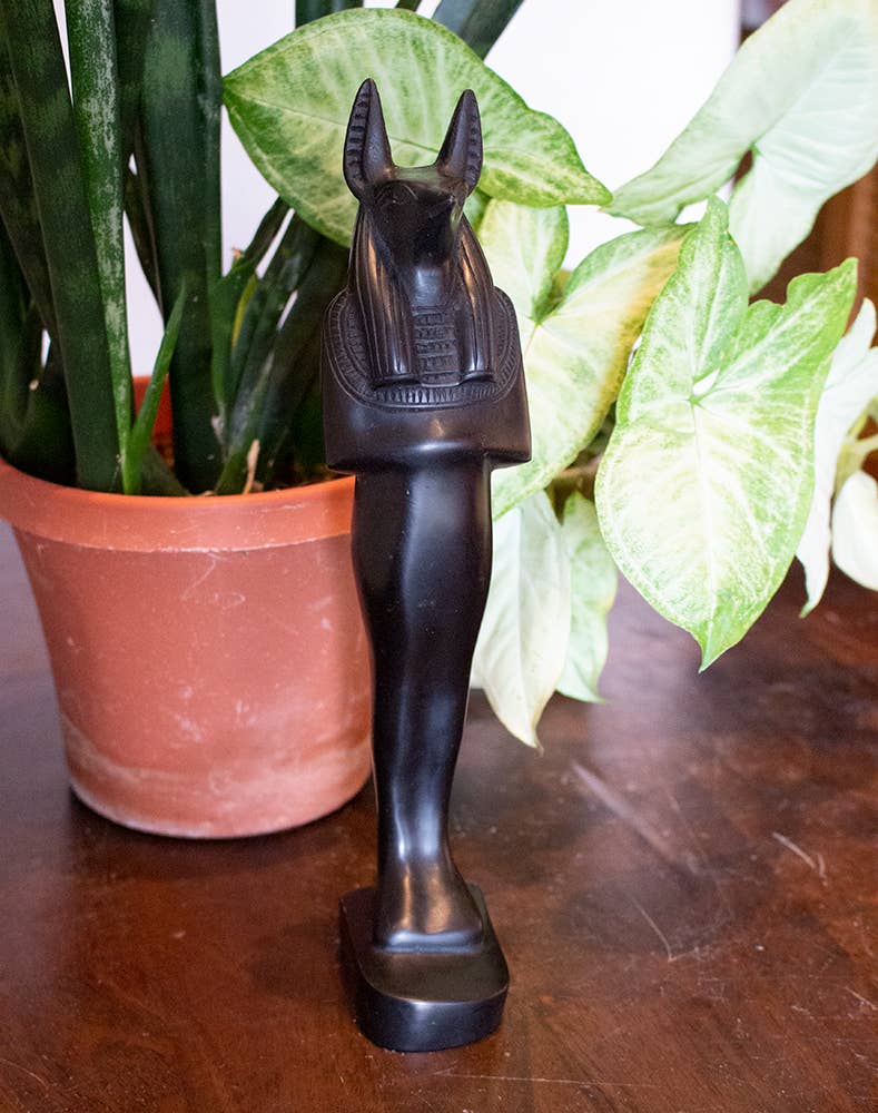 Egyptian Anubis Mummy Statue (11")