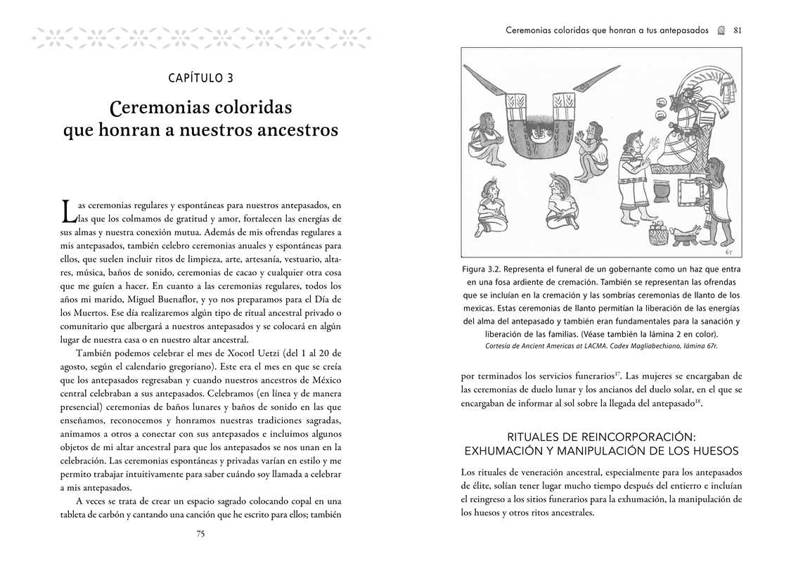 Ritos De Veneración Del Curanderismo By Erika Buenaflor (Paperback)