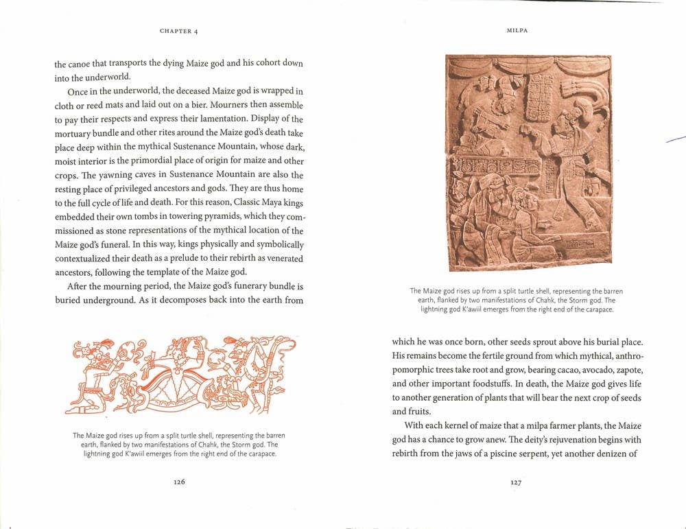 The Maya Myths: A Guide To The Gods, Heroes and Ancestors by Mallory Matsumoto