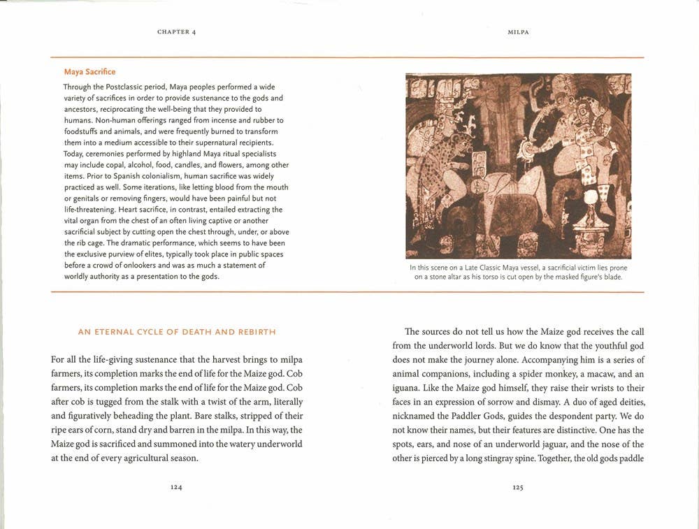 The Maya Myths: A Guide To The Gods, Heroes and Ancestors by Mallory Matsumoto
