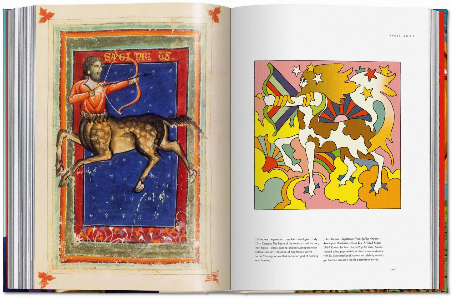 Astrology: The Library Of Esoterica by Andrea Richards