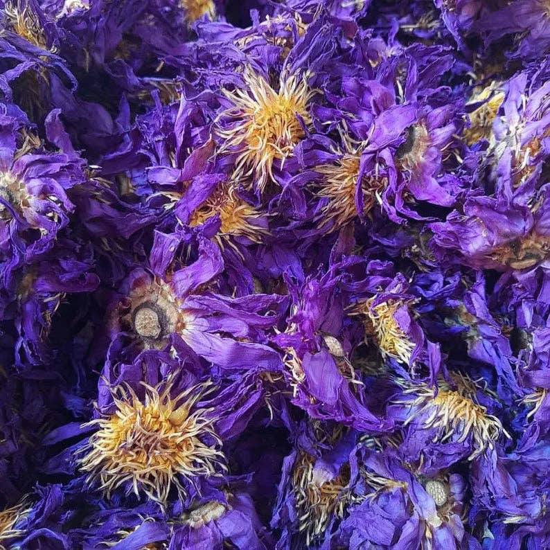 Blue Lotus Tea (1oz)